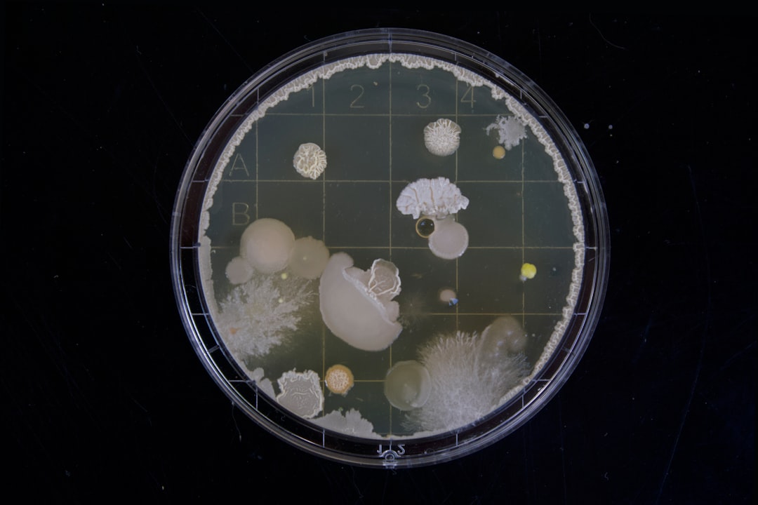 H. pylori and Gut Dysbiosis