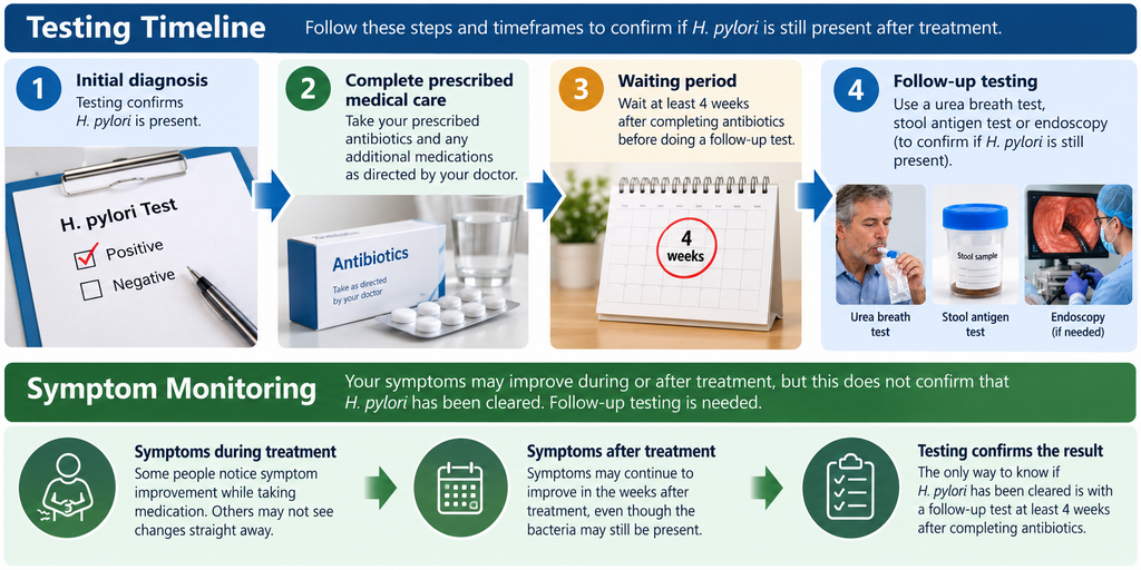 Timeline explaining follow-up testing after medical care for H. pylori.